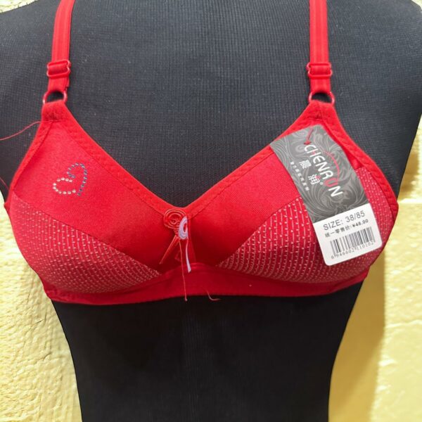lingerie women undergarments