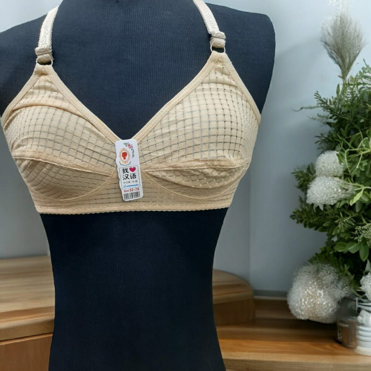 lingerie women undergarments