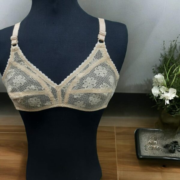 lingerie women undergarments